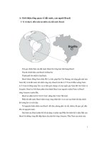 Đề tài brazil và các giai đoạn phát triển