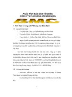 Đề tài phân tích báo cáo tài chính công ty cổ phần khoáng sản bình định