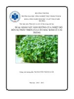 Đề tài  khảo sát ảnh hưởng của nhiệt độ đến sự phát triển của cây rau mầm củ cải trắng