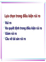 Slide lựa chọn trong điều kiện rủi ro (kinh tế vi mô)