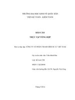 Báo cáo thực tập CÔNG TY CỔ PHẦN THANH BÌNH H.T.C VIỆT NAM