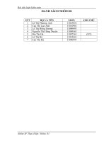 HỆ THỐNG CHUẢN mực KIỂM TOÁN VIỆT NAM năm 2014