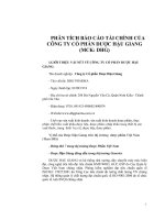 Báo cáo phân tích tài chính công ty Dược phẩm Hậu Giang