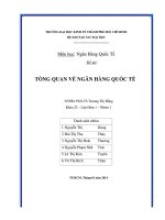 Đề tài tồng quan về ngân hàng quốc tế