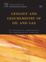 geology and geochemistry of oil and gas