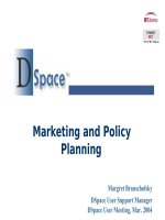 dspace marketing and policy planning