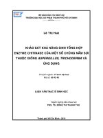 Luận văn khảo sát khả năng sinh tổng hợp enzyme chitinase của một số chủng nấm sợi thuộc giống aspergillus, trichoderma và ứng dụng
