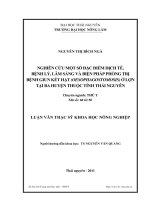 nghiên cứu đặc điểm dịch tễ, bệnh lý, lâm sàng và biện pháp phòng trị bệnh giun kết hạt (oesophagostomosis) ở lợn tại một số huyện thuộc tỉnh thái nguyên