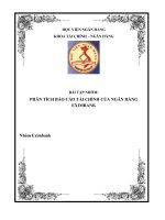 phân tích báo cáo tài chính của ngân hàng eximbank 2010 - 2012
