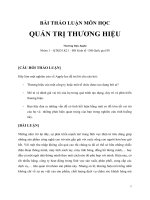 BÀI THẢO LUẬN MÔN HỌC QUẢN TRỊ THƯƠNG HIỆU : Thương hiệu APPLE