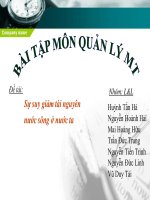 tiểu luân môn quản lý môi trường, Sự suy giảm tài nguyên nước sông ở nước ta