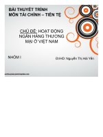 TIỂU LUẬN HOẠT ĐỘNG NGÂN HÀNG THƯƠNG MẠI Ở VIỆT NAM