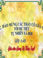 Slide bài giảng lớp 1 môn Tự nhiên và xã hội