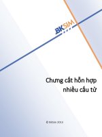 Chưng Cất Hỗn Hợp Nhiều Cấu Tử