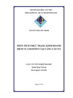 phân tích thực trạng kinh doanh dịch vụ logistics tại cảng cái cui