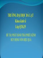 Đề tài phát hành trái phiếu kênh huy động vốn hiệu quả