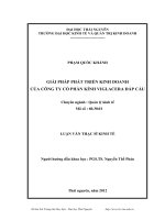 giải pháp phát triển kinh doanh của công ty cổ phần kính viglacera đáp cầu