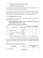 bài tập tiểu luận Khử trùng nước thải
