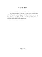 hoàn thiện thanh tra giá chuyển nhượng trong các doanh nghiệp do thanh tra ngành thuế thực hiện