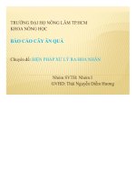 Biện pháp xử lý ra hoa nhãn