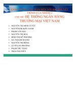 TIỂU LUẬN hệ THỐNG NGÂN HÀNG THƯƠNG MẠI VIỆT NAM