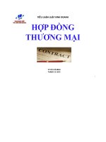 Tiểu luận luật kinh doanh hợp đồng thương mại