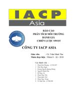 BÁO CÁO  PHÂN TÍCH MÔI TRƯỜNG  ĐÁNH GIÁ CHIẾN LƯỢC SWOT CÔNG TY IACP ASIA