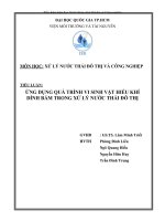 Tiểu Luận Ứng dụng quá trình vi sinh vật hiếu khí dính bám trong xử lý nước thải đô thị