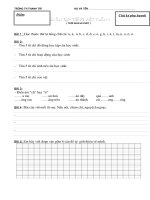 Giáo án tổng hợp: Phiếu học kỳ I