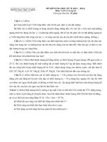 Đề kiểm tra vật lý lớp 10 HK II Trường THPT An Đông