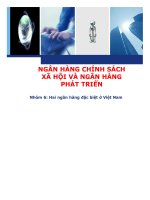 TIỂU LUẬN HAI NGÂN HÀNG ĐẶ BIỆT Ở VIỆT NAM