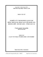 nghiên cứu thành phần loài nấm đông trùng hạ thảo tại vườn quốc gia hoàng liên - huyện sapa - tỉnh lào cai