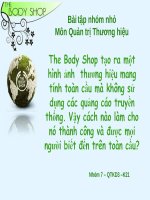 BÀI THẢO LUẬN MÔN HỌC QUẢN TRỊ THƯƠNG HIỆU : Thương hiệu the body shop