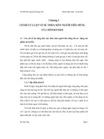 Cở sở lý luận về sự thỏa mãn người tiêu dùng của mì hảo hảo