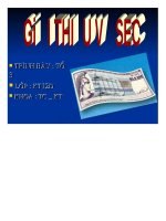 TIỂU LUẬN GIỚI THIỆU VỀ SEC