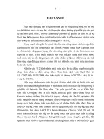 Luận văn thạc sĩ đánh giá hiệu quả điều trị nhồi máu não trong vòng 4,5 giờ đầu do tắc động mạch não giữa cấp bằng thuốc tPA đường tĩnh mạch