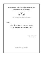 TIỂU LUẬN PHÂN TÍCH CÔNG TY cổ PHẦN KHOAN và DỊCH VỤ DẦU KHÍ (PVDRILLING)