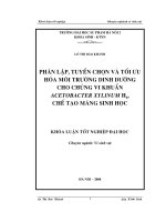 Phân lập, tuyển chọn, và tối ưu hoá môi trường dinh dưỡng cho chủng Acetobacter Xylnum H6, Chế tạo màng sinh học