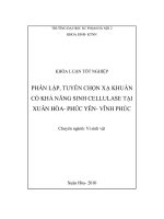 Phân lập, tuyển chọn xạ khuẩn khả năng sinh Cellulase từ đất tại Xuân Hoà huyện Phúc Yên tỉnh Vĩnh Phúc