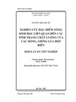 Nghiên cứu đặc điểm nông sinh học liên quan tới các tính trạng chất lượng của các dòng, giống lúa đột biến