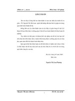 Phân rã π  Meson khóa luận tốt nghiệp