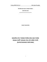 Nghiên cứu một số đặc điểm sinh lý, sinh hóa của đậu xanh trong giai đoạn nảy mầm