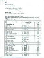 Chính sách bán hàng của công ty BISCA FURI