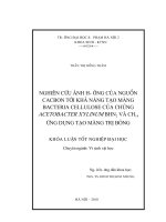 Nghiên cứu ảnh hưởng của nguồn Cacbon tới khả năng tạo màng Bacteria Cellulose của chủng Acetobacter Xylinum BHN2 và CH14 ứng dụng tạo màng trị bỏng