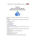 Báo cáo phân tích tài chính công tỷ cổ phần đường biên hòa