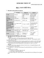 sinh học phân tử công thức tính