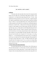 Đề tài sự hình thành và phát triển thị trường chứng khoán ở việt nam