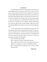 ĐỀ TÀI PHÂN TÍCH CẤU TRÚC TÀI CHÍNH và ẢNH HƯỞNG CỦA TRÚC TÀI CHÍNH ĐẾN RỦI RO HOẠT ĐỘNG CỦA CÔNG TY CỔ PHẦN ĐƯỜNG NINH HÒA