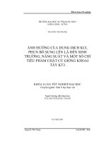Ảnh hưởng của dung dịch KCl phun bổ sung lên lá đến sinh trưởng, năng suất và một số chỉ tiêu phẩm chất củ giống khoai tây KT3