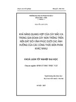 Khả năng quang hợp của cây Mắc ca trong giao đoạn cây non trồng trên nền đất đồi Vĩnh Phúc dưới các ảnh hưởng của các công thức bón phân khác nhau